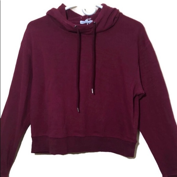 Standard James Perse Cropped Hoodie - Picture 4 of 8